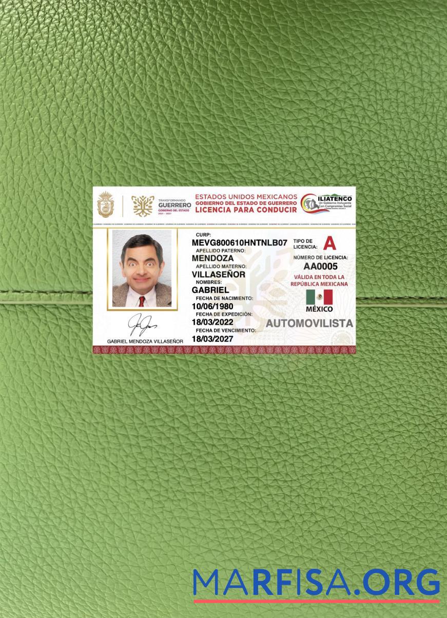 Printable Mexico Guerrero state driving license photolook download for verification